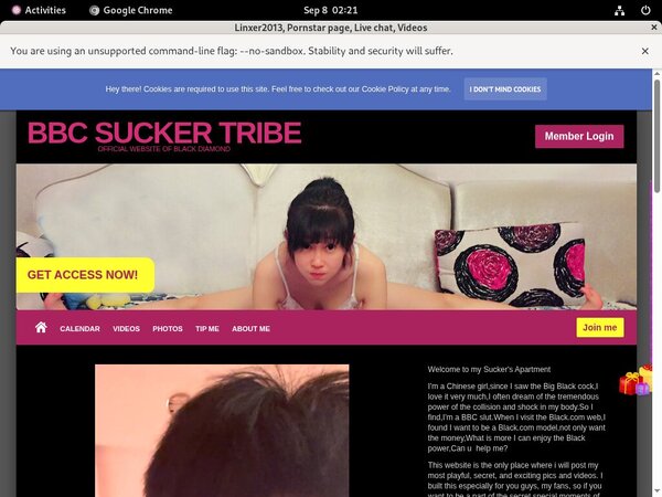 Access Linxer2013.modelcentro.com Free