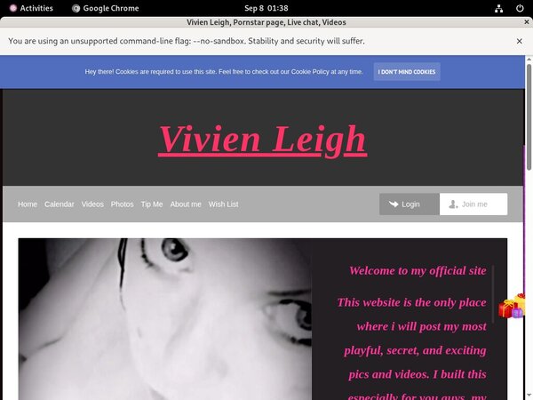 Active Vivienleighandme.modelcentro.com Passwords