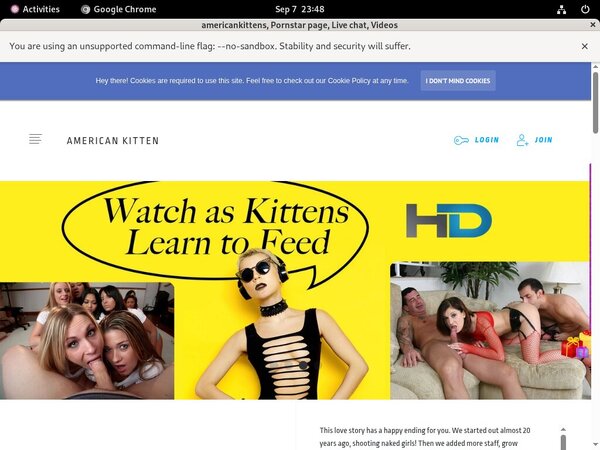 Americankittens Passworter