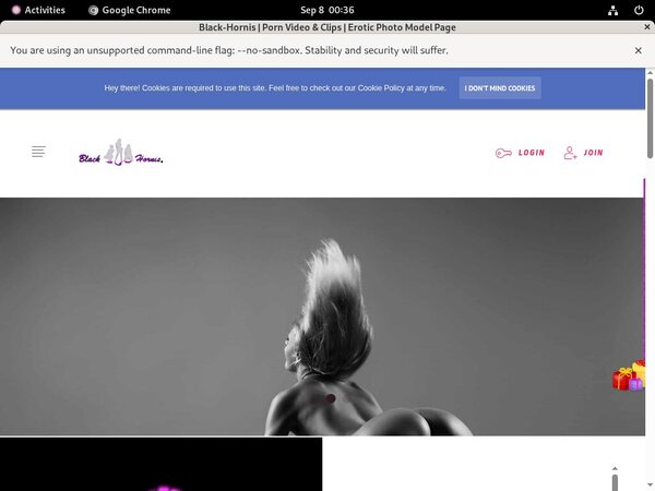 B L A C K - H O R N I S Discount Porn B L A C K - H O R N I S Discount Porn