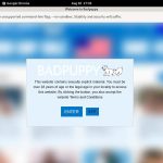 Badpuppy Using Discount Badpuppy Using Discount