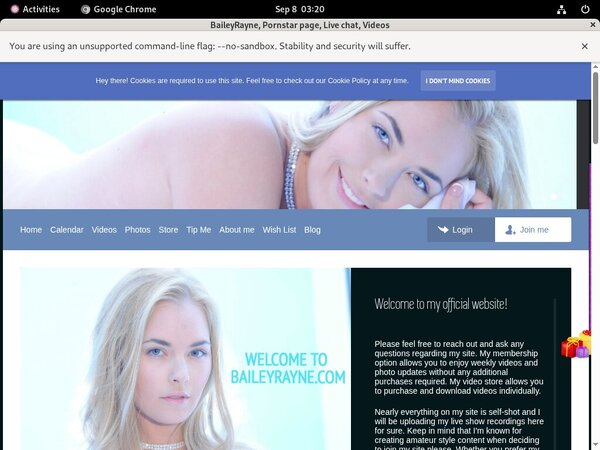 BaileyRayne Coupon Link