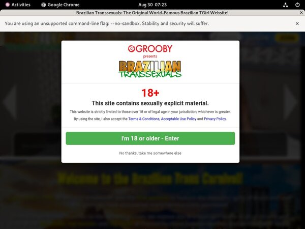 Brazilian Transsexuals Mobile Account