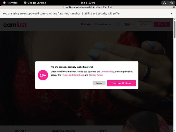 Camlust.com Porn Account