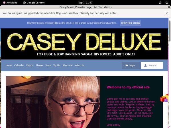 Casey Deluxe Webcam