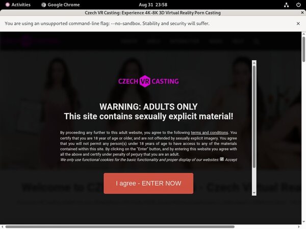 Czech VR Casting $1 Porn Trial