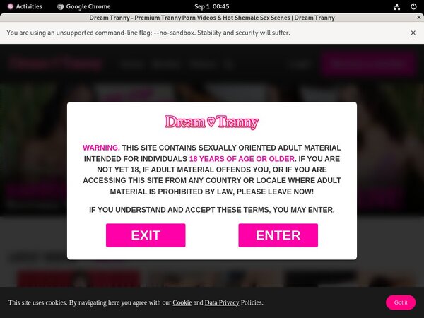 Dreamtranny Passwords For Free
