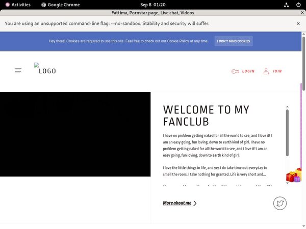 Fattima.modelcentro.com Passwords Blog