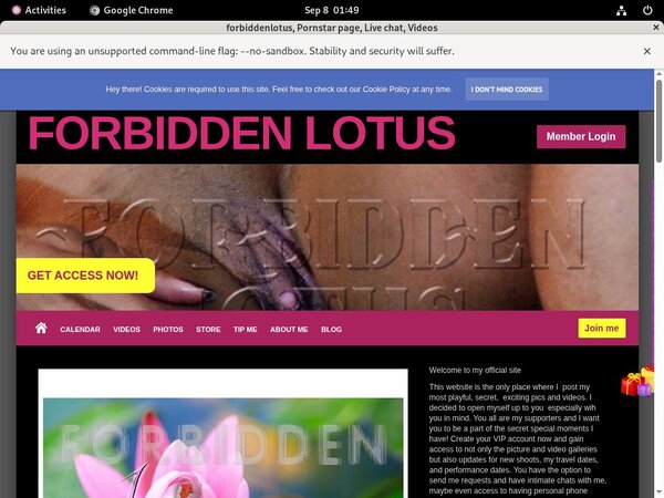 Forbiddenlotus Gay Sex