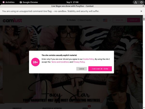 FoxyStar Bank Payment FoxyStar Bank Payment