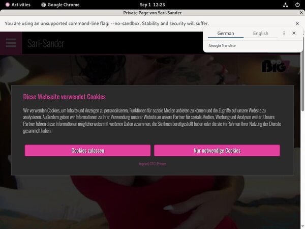 Free Accounts For Sari Sander
