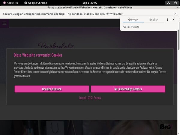 Free Passwords For Parkplatzluder19