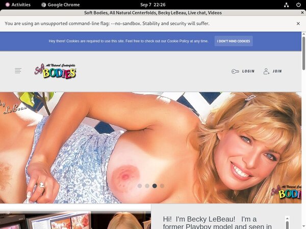 Free Passwords For Softbodies