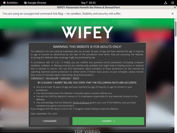 Free Wifey Premium Passwords
