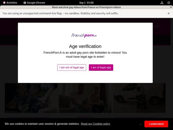 Frenchporn.fr Paysite Passwords