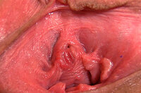 Gape My Pussy With Yen s0