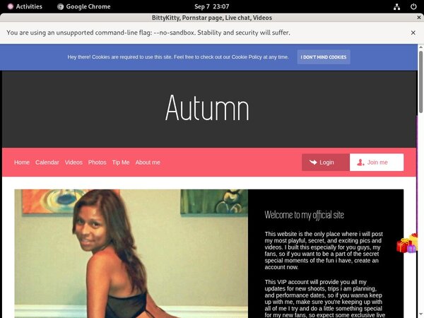 Get Discount Bittykitty.modelcentro.com