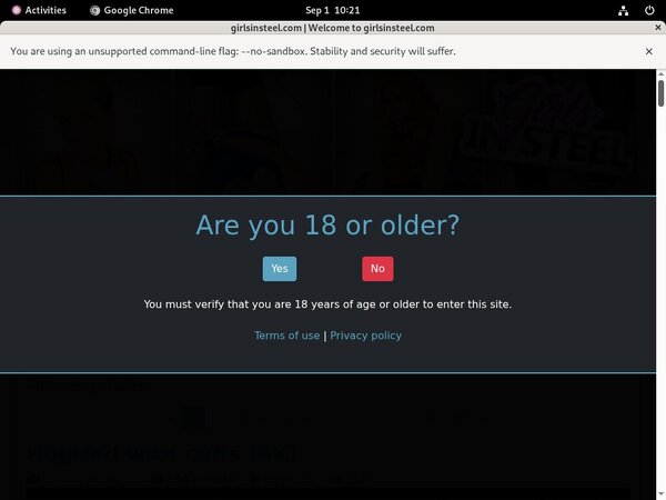 Girlsinsteel 2017 Girlsinsteel 2017