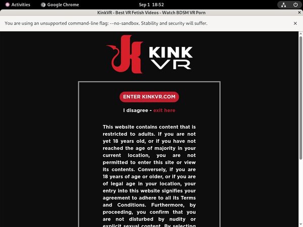 How Much Does Kinkvr.com Cost