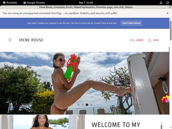 Irenerouse.com Webcams