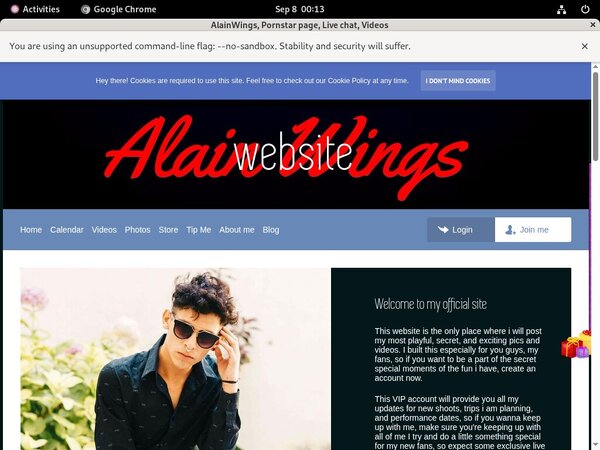 Is AlainWings Worth It