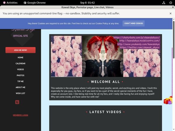 Kawaii Skye Pass Codes