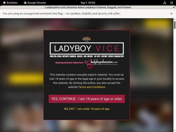 Ladyboy Vice Discount Free