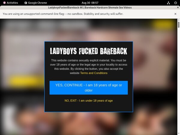 Ladyboysfuckedbareback.com Account List