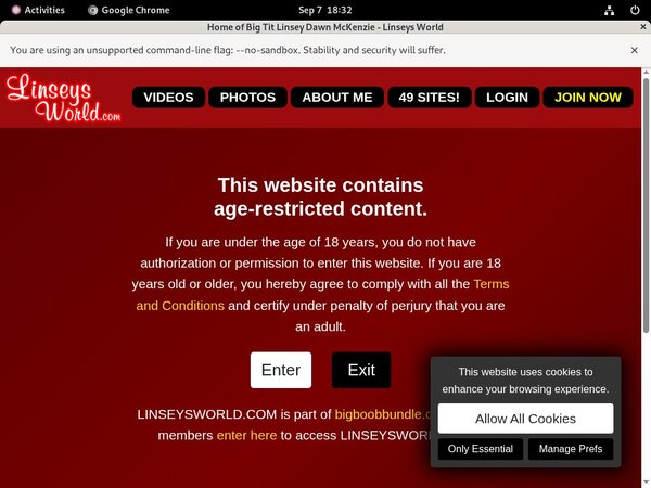 Linseysworld.com Discount Full