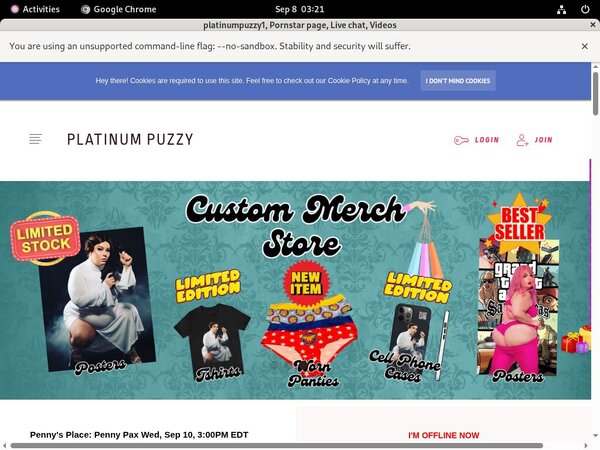 Login To Platinumpuzzy.net Free