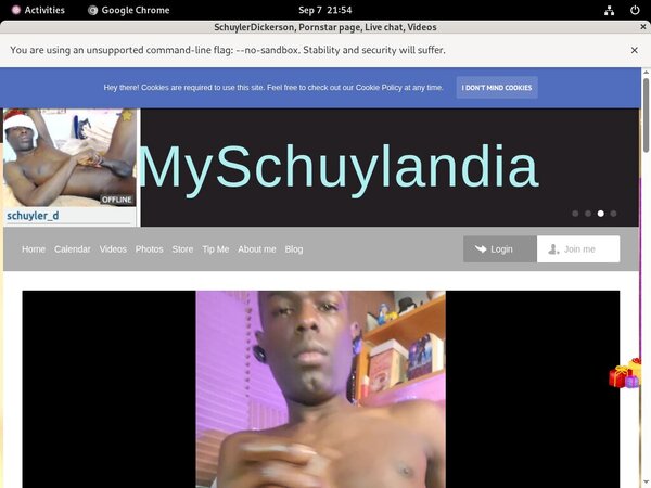 Myschuylandia.com Photo