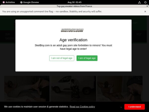 [Image: Passwords-Sket-Boy.jpg]