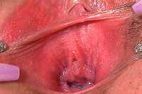 Paypal Gapemypussy.com Sign Up s2