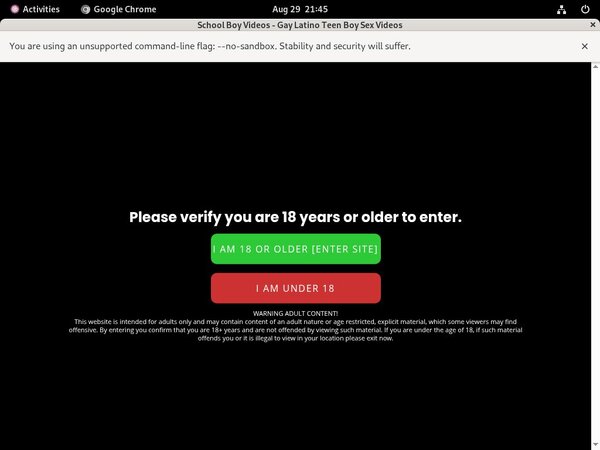 Register School Boy Videos