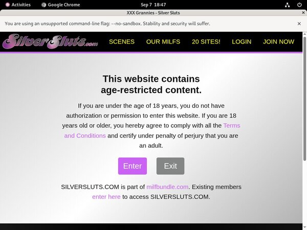 Silver Sluts With JCB Card