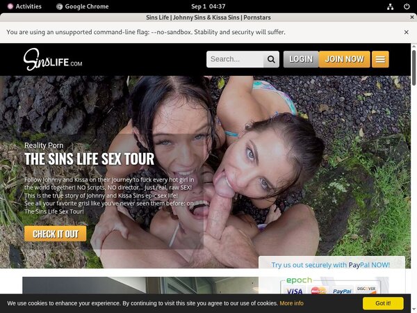 Sins Life Paysafecard