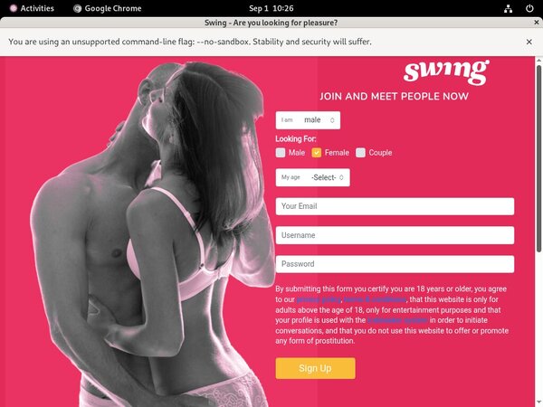 Swing.net Full Website