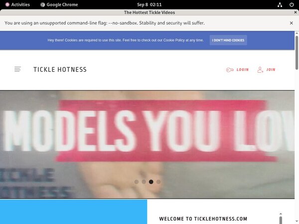TickleVideos Real Passwords