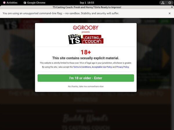 Ts-castingcouch.com Discount Logins Ts-castingcouch.com Discount Logins