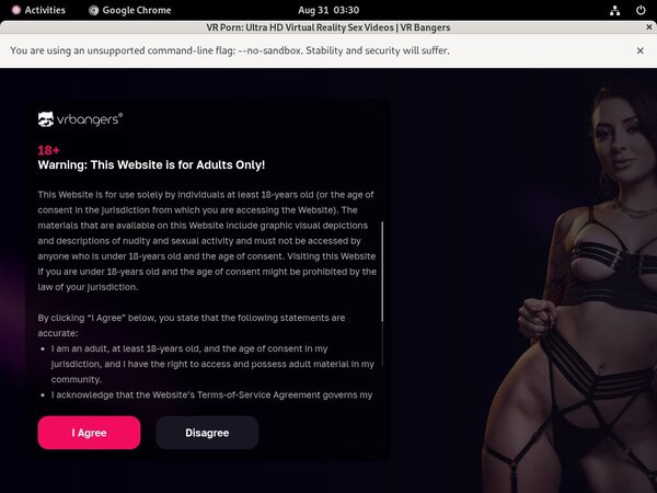 VR Bangers Web Site