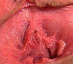Gape My Pussy Discreet